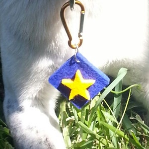 May include: A dog with a white and grey coat, wearing a red collar with a blue and yellow star-shaped tag. The dog is in green grass, looking upwards. The tag is attached to the collar with a silver carabiner.