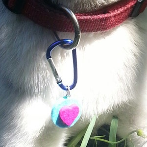 May include: A dog with a white and grey speckled coat, wearing a red collar with a blue carabiner and a charm. The charm is a small, round, blue and pink heart-shaped design. The dog is in a grassy area, looking upwards.