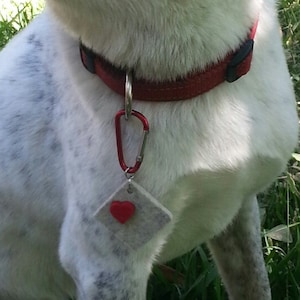 May include: A dog with a white and grey speckled coat, wearing a red collar and a tag with a red heart, sits in the grass. The dog is looking to the left, with its ears perked up. The background features green grass and trees.
