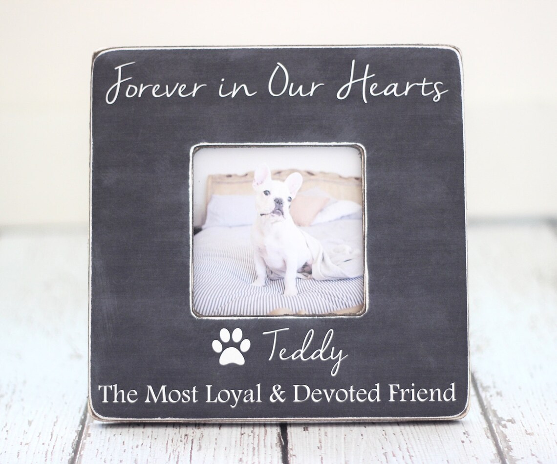 Pet Loss Memorial Pet Sympathy Gift Dog Cat Forever in Our