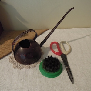 Può includere: Un annaffiatoio vintage in metallo con un becco lungo, un paio di forbici rosse e bianche e una rana floreale verde con spilli di metallo.
