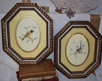Par vintage de arte florentino enmarcado / Arte floral de pájaros firmado / Arte de pájaros enmarcado y firmado