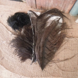 Vintage Brown & Black Ostrich Feathers / Antique Shabby Millinery Feathers