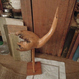Vintage Burl Wood Bird / Folk Art Carved Birds / Cabin Decor / Unusual Bird Lover Gift / Burl Wood Art Bird