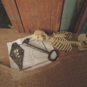 Vintage Large Skeleton Key / Antique Skeleton Key and Plate