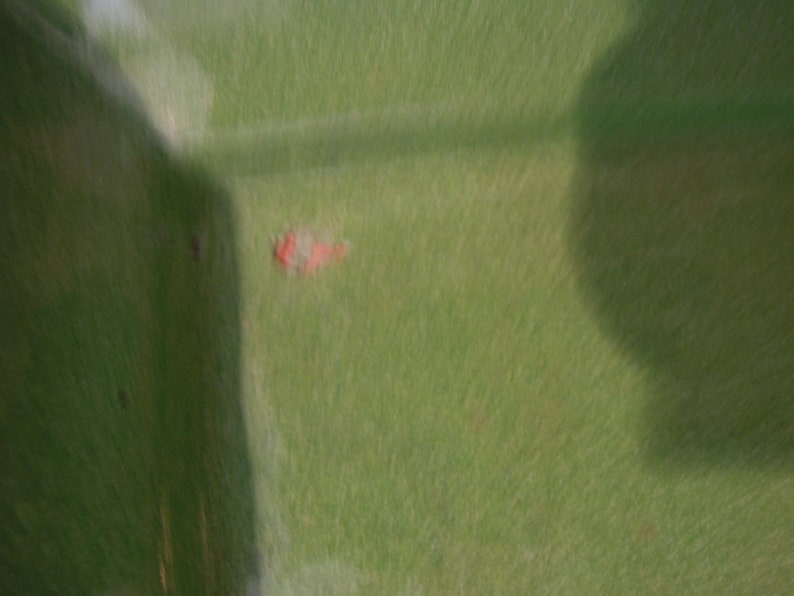 Op de afbeelding: Een close-up van een groen oppervlak met een kleine rode vlek.