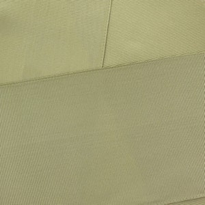 May include: Close-up of a light green fabric with a ribbed texture. The fabric is made of a woven material and has a subtle sheen.