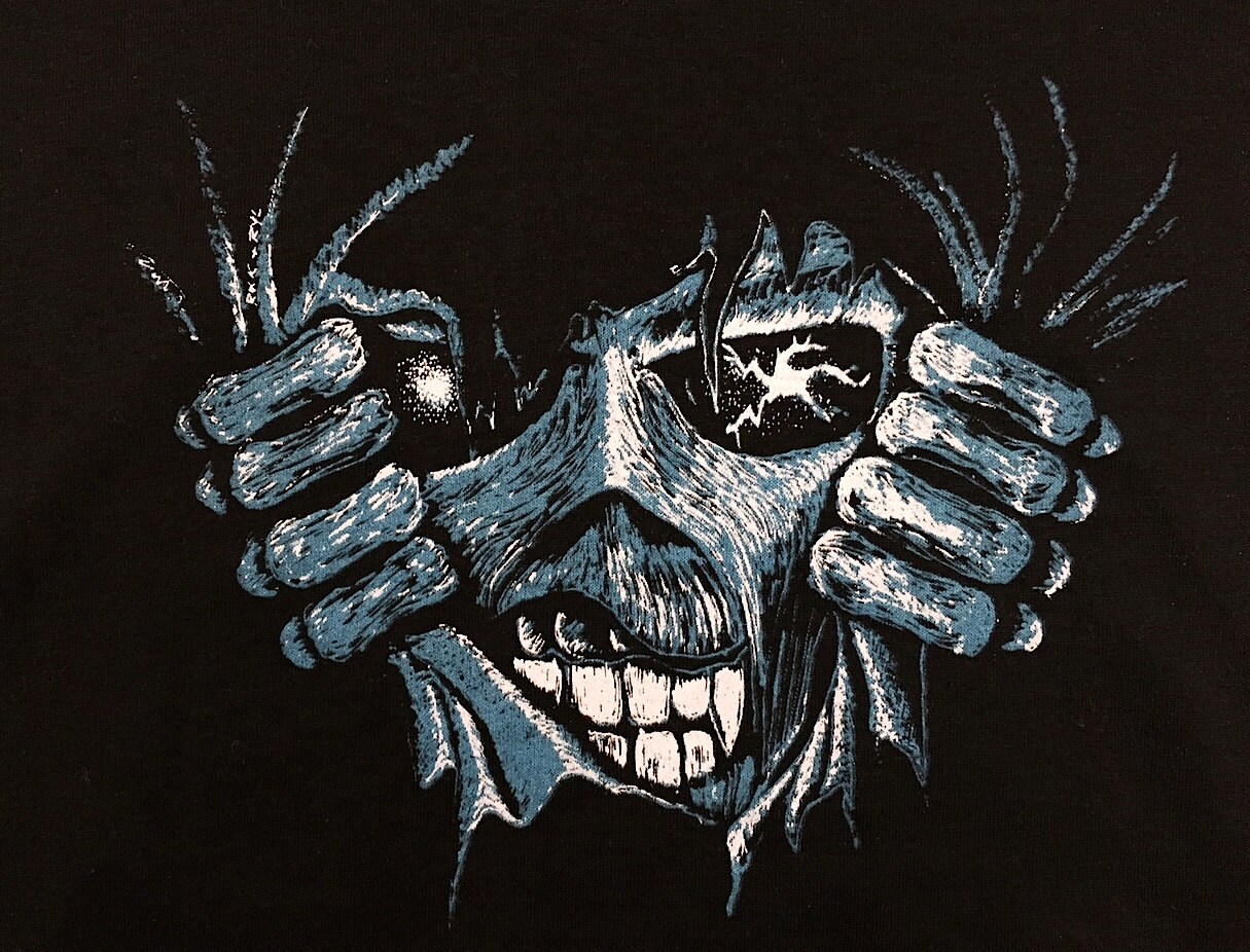 Vintage 80s IRON MAIDEN Seventh Son 12 Wasted Years Can I Play