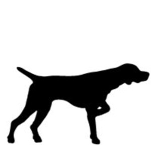 May include: Silhouette of a German Shorthaired Pointer dog in a hunting pose, with its right leg raised and its head turned to the side.