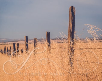 Office Wall Art print of a Northern California fence line along a field with Sutter Buttes in the background.