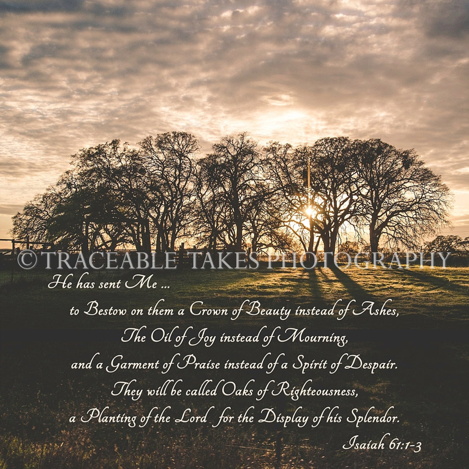 Isaiah 61 3 Art Print Available On E surface Paper Or Solid Faced isaiah-61-3-art-print-available-on-e-surface-paper-or-solid-faced