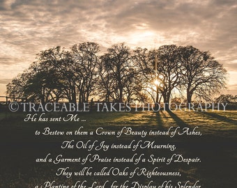 Isaiah 61:3 Art Print (available on E-Surface Paper or Solid Faced Wrapped Canvas)