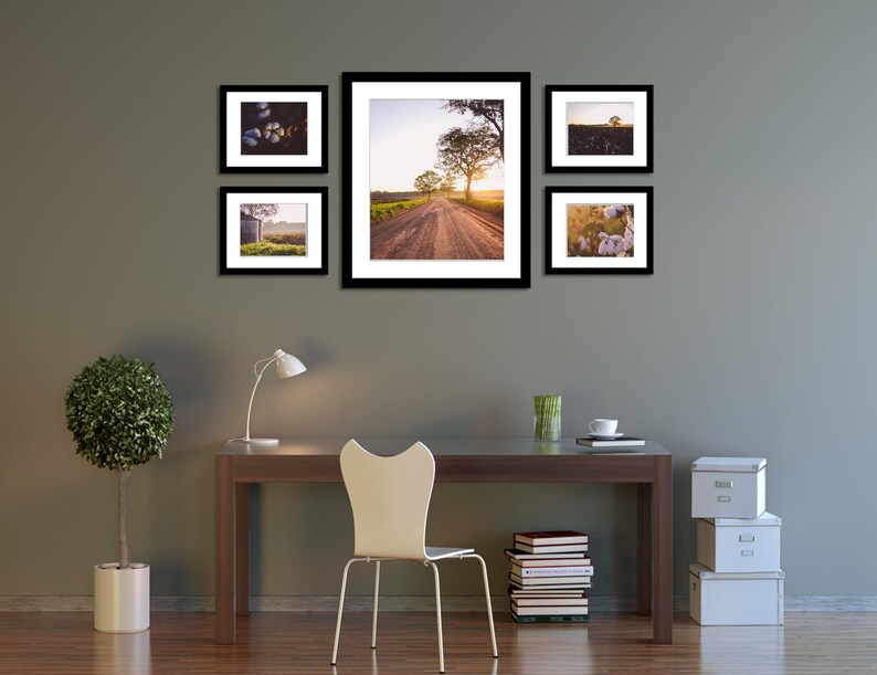 Cotton Bolls available on Esurface Paper Framed Art Print Etsy