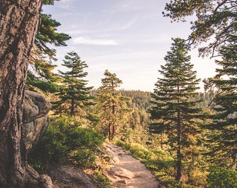 Mountain Trail, Path from Sentinel Dome, Yosemite (available on E-Surface Paper or Solid Faced Wrapped Canvas)