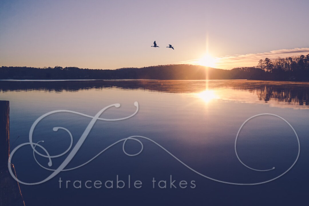 The Backwaters of Lake Harding available on Esurface Paper Etsy