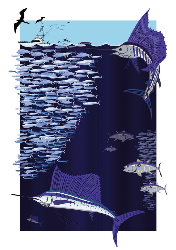 Sailfish Billfish Graphic Art Giclee Print Etsy