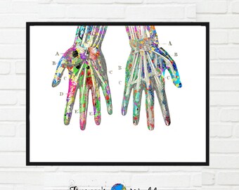 lung brain heart printable