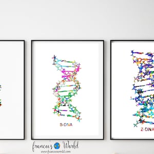 DNA Print DNA A B Z dna Art PRINTABLE Medical Art Doctor gift  Science Art Clinic Genetic Microbiology Biology Nurse gift molecule art