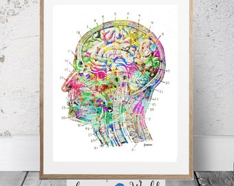 Vintage Brain Anatomy Art Print: Medical Illustration (Digital Download)