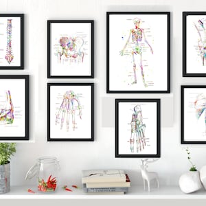 Medical Art, Medical Printable, Set of 8, foot Print, hand, Medical office art, skeleton, MD office, shoulder, pelvic, knee, musclesDorm art