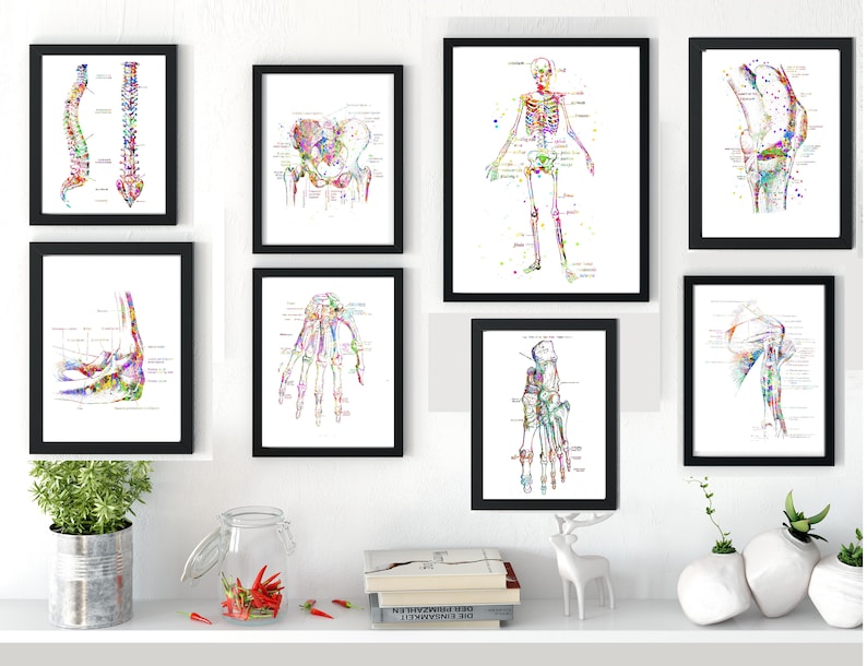 May include: A set of 8 black framed anatomical illustrations of the human skeletal system. The illustrations are in watercolour style with colourful details and labels. The illustrations include the spine, pelvis, hand, foot, knee, elbow, shoulder, and full body.