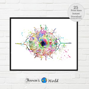 Auge Druck, Iris Anatomie Kunst, Augen Arzt Geschenk, Optometrist Geschenk, medizinische Kunst, Augenoptiker, Augenoptiker, Auge bedruckbar,Arztpraxis