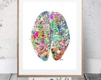Vintage Brain Anatomy Art Print: Medical Illustration (Digital Download)