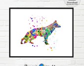 Il_170x135