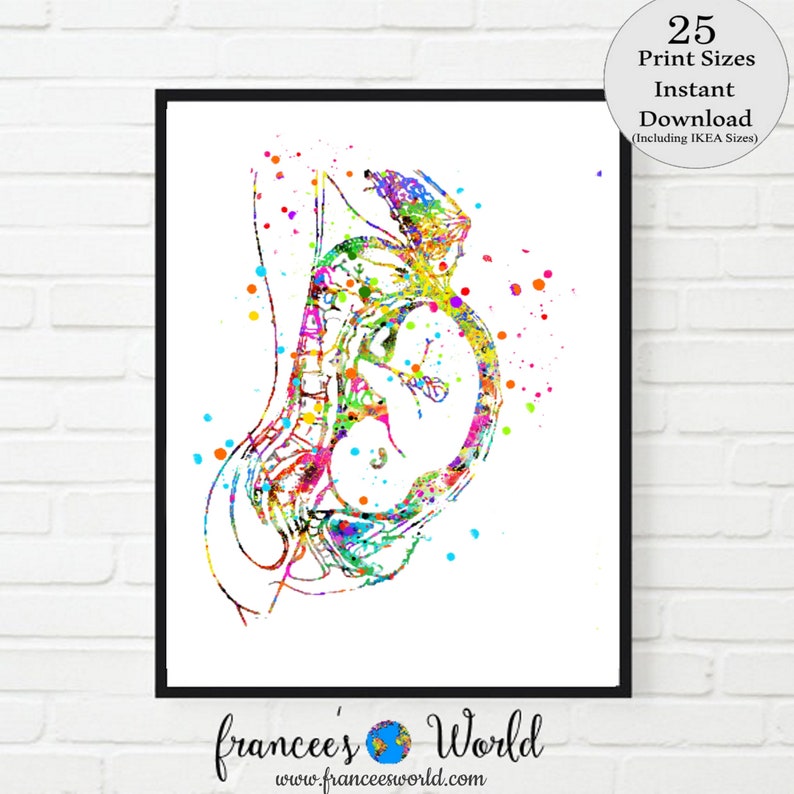Pregnancy Watercolor Print Womb Pregnancy Anatomy Gynecology image 0