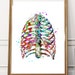 Medical Art Medical Printable Set of 8 Heart Print Lung - Etsy
