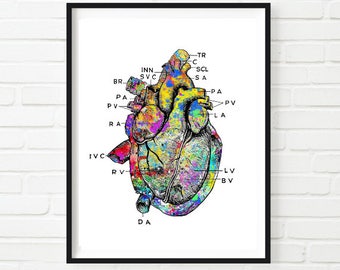 Vintage hart anatomie kunstafdruk: kleurrijke medische poster (digitale download)