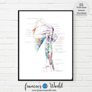 May include: A colourful anatomical illustration of the human arm and shoulder, with labels for the different muscles and bones. The illustration is done in a watercolour style, with vibrant colours and a vintage aesthetic.