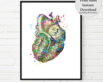 Watercolor Heart Anatomy Print: Medical Office Art (Digital Download) Wall Art