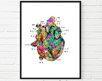 Vintage hart anatomie kunstafdruk: medische poster, dokterscadeau (digitale download)