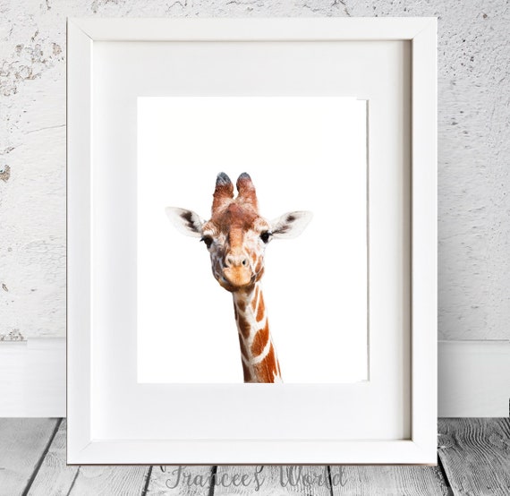 pink wall art baby animal prints nursery printable animal prints baby