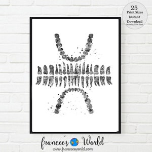 Impresión de dientes, conjunto de dientes, impresión en blanco y negro, acuarela, arte odontológico, arte médico, arte del consultorio del dentista, diagrama de dientes, IMPRIMIBLE