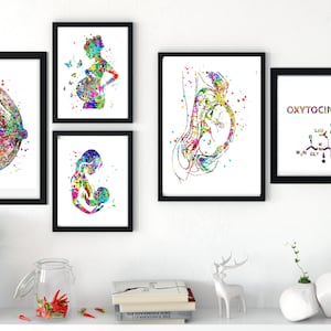 Maternity prints pregnancy wall art PRINTABLE mother baby Set of 5 oxytocin love molecule baby womb pregnancy gift baby shower gift midwife