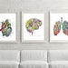 Medical Heart Art, Printable Vintage Heart Art Print,heart Art, Medical ...