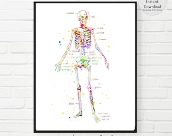 Anatomy Skeleton Print, Vintage Medical Art, Doctor Office Decor (Digital Download)
