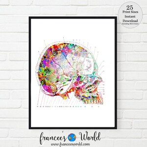 Skull PRINT SKULL Watercolor Vintage human skull diagram  Anatomy Art  Doctor office  Decor medical Art doctor gift medical office decor