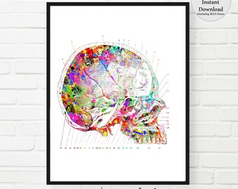 Skull PRINT SKULL Watercolor Vintage human skull diagram  Anatomy Art  Doctor office  Decor medical Art doctor gift medical office decor