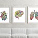Heart Print, Printable Vintage Heart Art Print, Heart Art, Medical Art ...