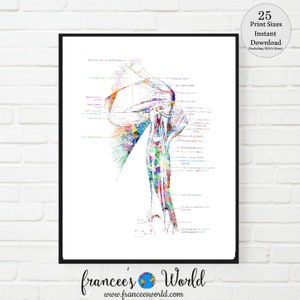 Shoulder muscle Print medical art vintage medical art PRINTABLE  Anatomy shoulder, Doctor, Medical Art, medical Wall Hanging Orthopedic art