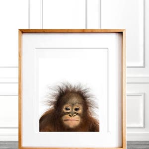 Orangutan Baby PRINT, Nursery Dorm Decor, Baby Animal Print, Printable Safari Animal,Baby Shower Gift, Baby Monkey Print, Baby Animal Poster