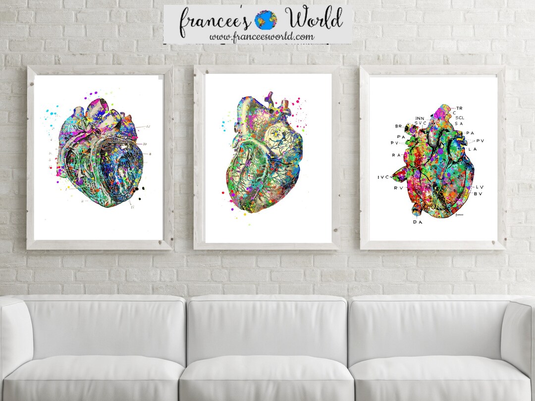 Heart Anatomy Art Print Set: Vintage Medical Decor (digital Download ...