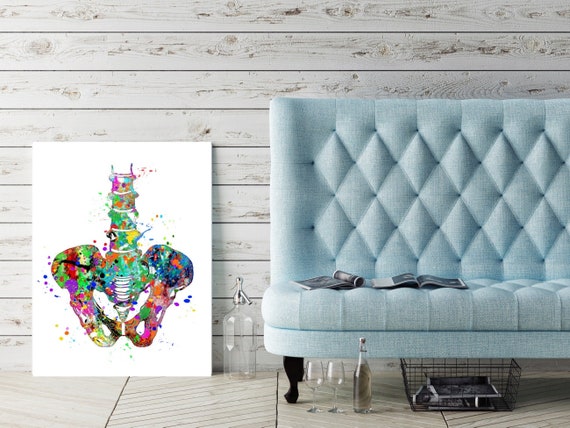 Pelvis Watercolor Printable Human Pelvis Sacrum Bone Hip Spine Etsy