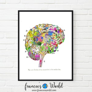 Vintage Brain Anatomy Watercolor Printable, Print Medical Dorm Art Digital Medical Illustrations Brian Surgeon Art Doctor Gift Anatomy Art