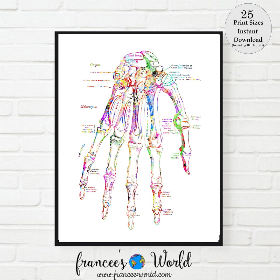 Hand Print Medical Art Vintage Medical Art PRINTABLE Anatomy Hand Bones, Doctor, Medical Art