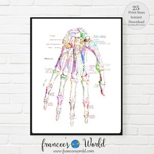 Hand  Print medical art vintage medical art PRINTABLE  Anatomy hand bones, Doctor, Medical Art, medical Wall Hanging Orthopedic art, hand