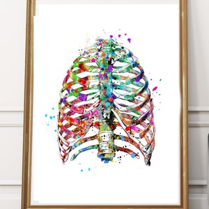 Rib cage Watercolor PRINTABLE Medical Art Skeleton Anatomy Printable Science Art Anatomy Rib cage Thorax Medical student gift ribsDorm art